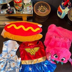 NWT and NWOT size, small pet costumes and dresses and a monster hoodie sweater.